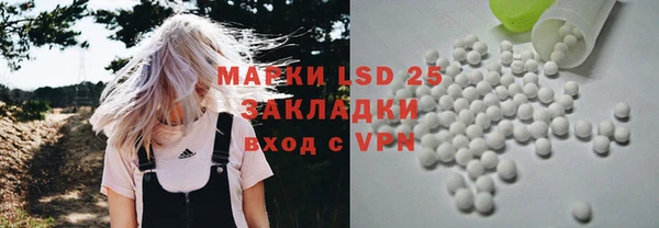 стаф Медвежьегорск