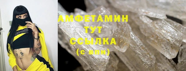 ECSTASY Тайга