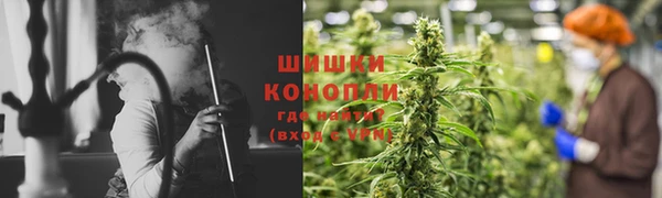гидропоника Медногорск