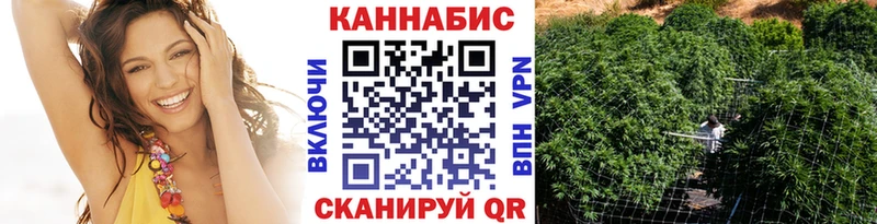 Конопля SATIVA & INDICA  где купить   Заволжск 